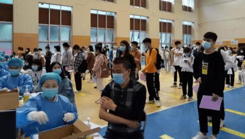 枫丹爆料视频最新消息,最新游戏动态大曝光！  第2张