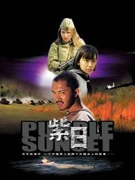 紫日在线观看免费,探寻历史光影下的青春记忆  第1张