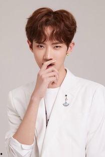 刘维黄新淳圈内人爆料了吗,揭秘娱乐圈不为人知的一面